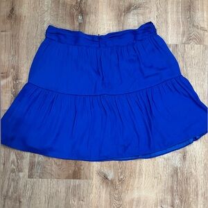 Bright Blue Naked Zebra Skirt